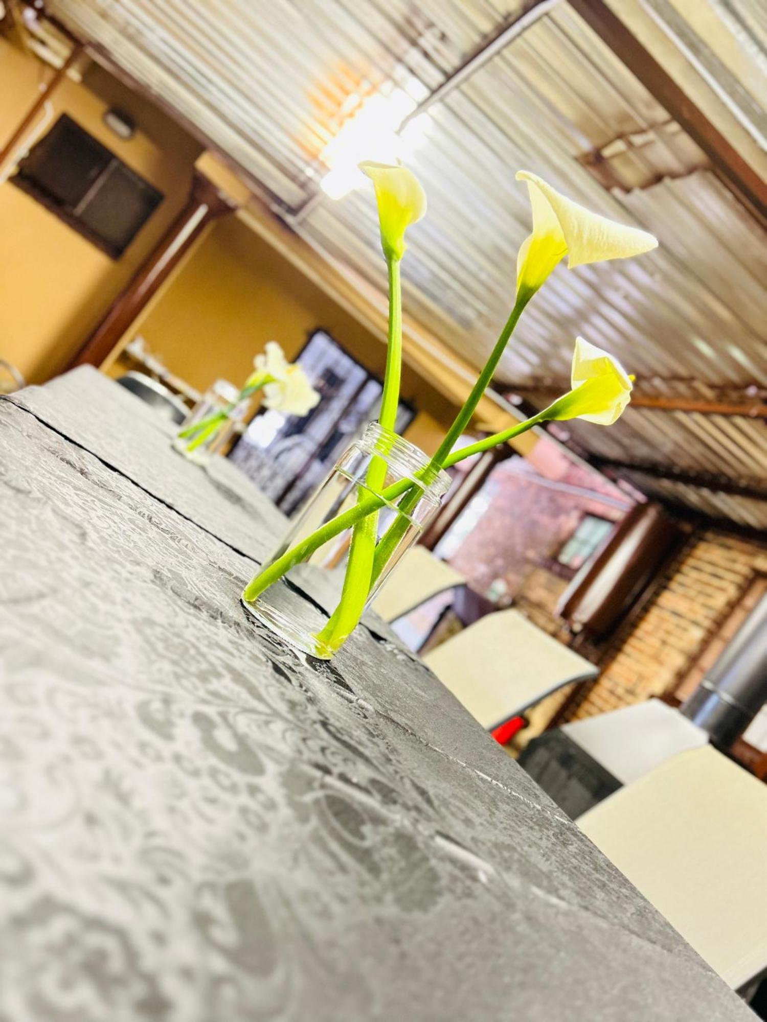 Duvha Guesthouse Граскоп Экстерьер фото
